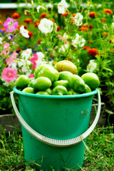 Similar image 6441953