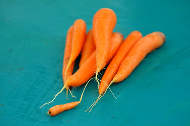 Similar image 6441954