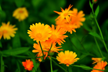 Similar image 6441955