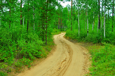 Similar image 6441958