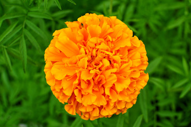 Similar image 6441984