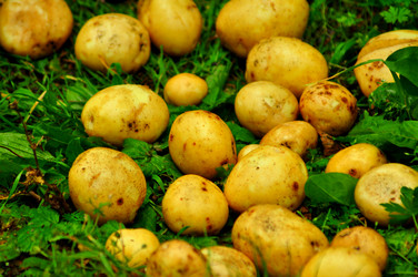 Similar image 6441985