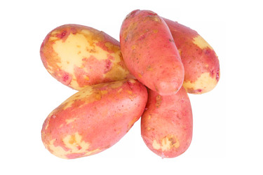 Similar image 6442052