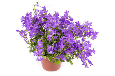 Similar image 6442076