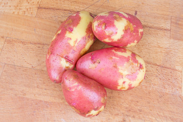 Similar image 6442079