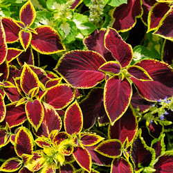 Similar image 6442104