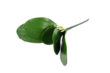 Similar image 6442159