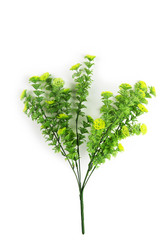 Similar image 6442162