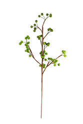 Similar image 6442164