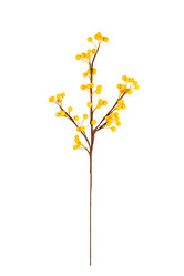 Similar image 6442165