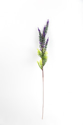 Similar image 6442167