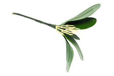 Similar image 6442171