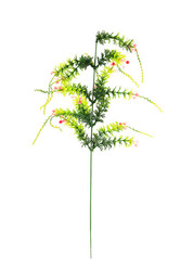 Similar image 6442172