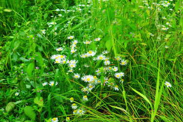 Similar image 6442192