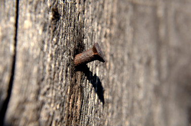 Similar image 6442209