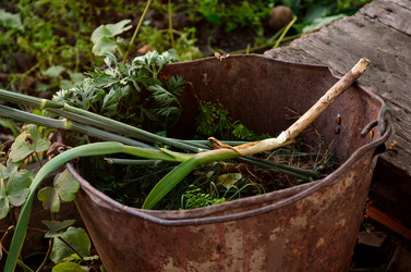 Similar image 6442211