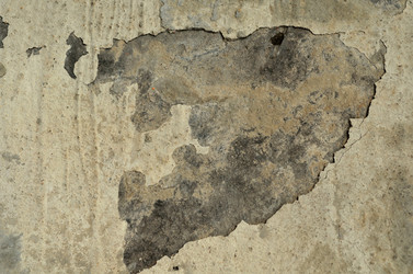 Similar image 6442212