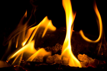 Similar image 6442216