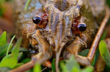 Similar image 6442232