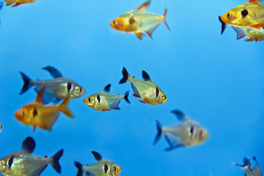 Similar image 6442236