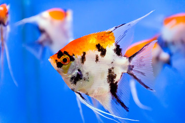 Similar image 6442238