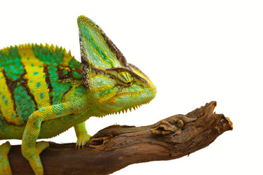 Similar image 6442247