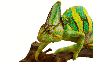 Similar image 6442249