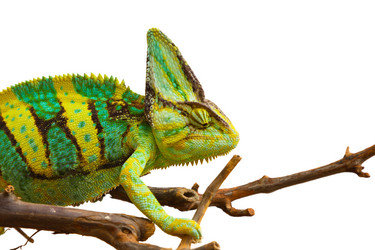 Similar image 6442251