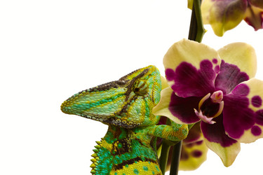 Similar image 6442252