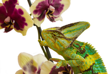 Similar image 6442253