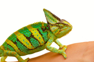 Similar image 6442254