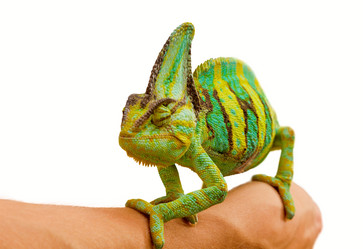 Similar image 6442255