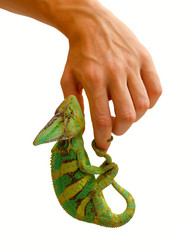 Similar image 6442256