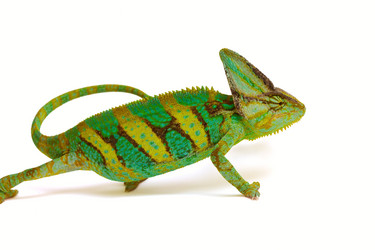 Similar image 6442258