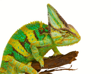 Similar image 6442259