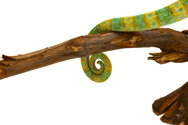 Similar image 6442260