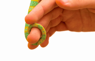 Similar image 6442262