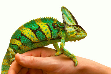 Similar image 6442263