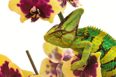 Similar image 6442264