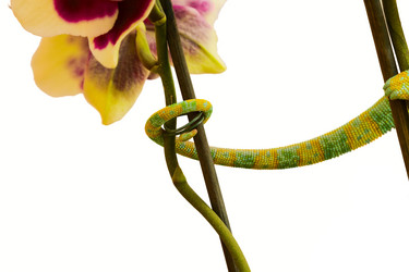 Similar image 6442265