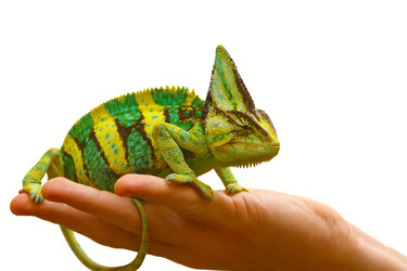 Similar image 6442266