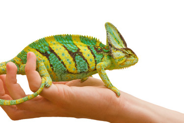 Similar image 6442267