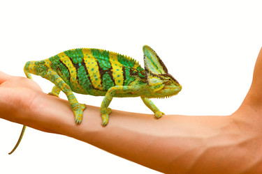 Similar image 6442268