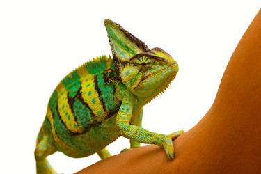 Similar image 6442270