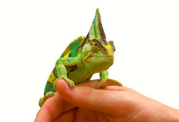 Similar image 6442271