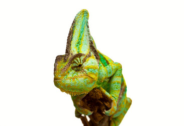 Similar image 6442273