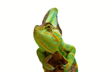 Similar image 6442274