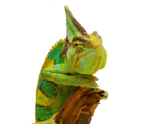 Similar image 6442275