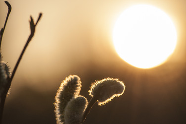 Similar image 6442278