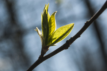 Similar image 6442282